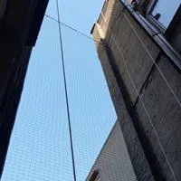 prix pose pic anti pigeon 62 Pas-de-Calais